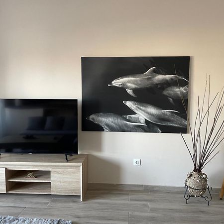 Luxurious 4Th Floor Apartment With Elevator 알렉산드로폴리스 외부 사진